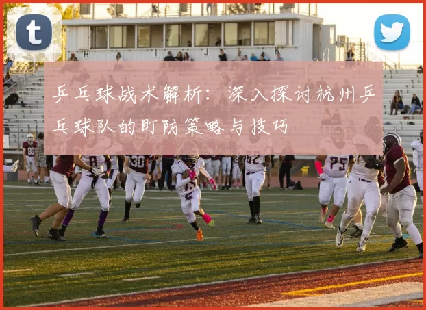 乒乓球战术解析：深入探讨杭州乒乓球队的盯防策略与技巧