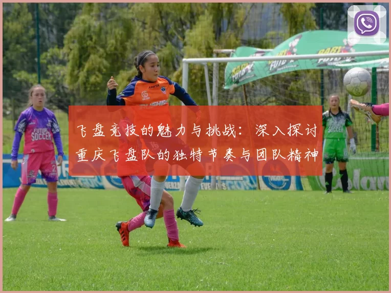 飞盘竞技的魅力与挑战：深入探讨重庆飞盘队的独特节奏与团队精神