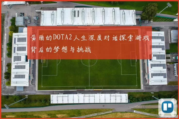 黄丽的DOTA2人生深度对话探索游戏背后的梦想与挑战