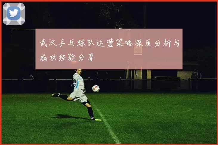 武汉乒乓球队运营策略深度分析与成功经验分享