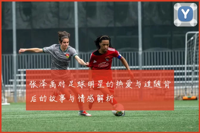 张泽禹对足球明星的热爱与追随背后的故事与情感解析