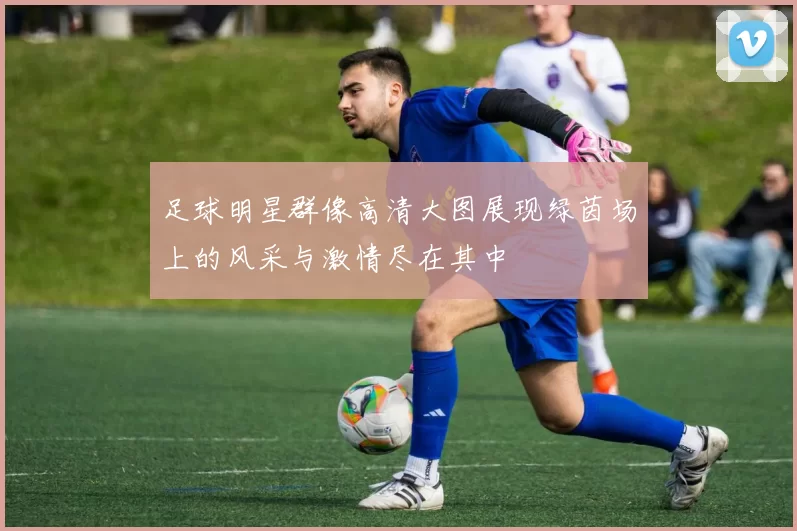 足球明星群像高清大图展现绿茵场上的风采与激情尽在其中