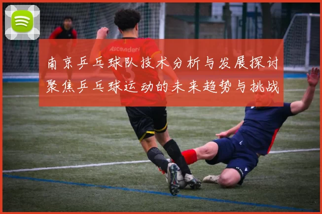 南京乒乓球队技术分析与发展探讨聚焦乒乓球运动的未来趋势与挑战