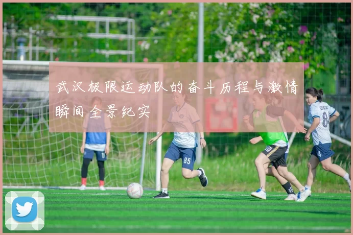 武汉极限运动队的奋斗历程与激情瞬间全景纪实