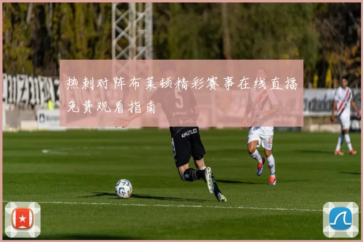 热刺对阵布莱顿精彩赛事在线直播免费观看指南
