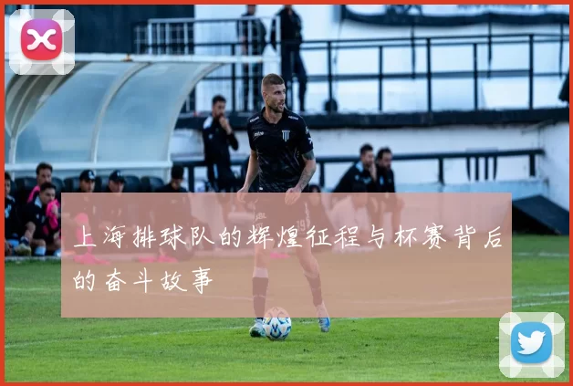 上海排球队的辉煌征程与杯赛背后的奋斗故事