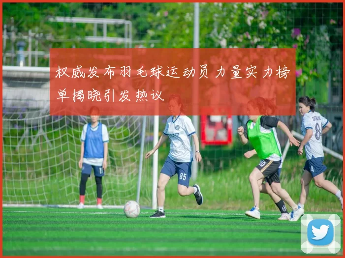 权威发布羽毛球运动员力量实力榜单揭晓引发热议