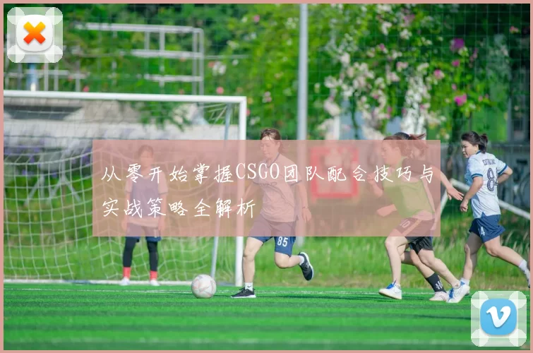 从零开始掌握CSGO团队配合技巧与实战策略全解析