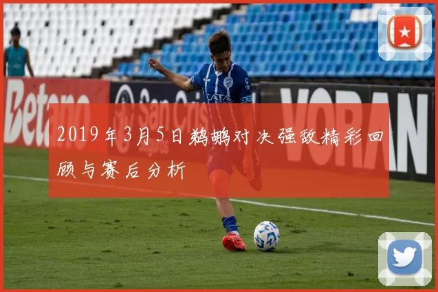 2019年3月5日鹈鹕对决强敌精彩回顾与赛后分析