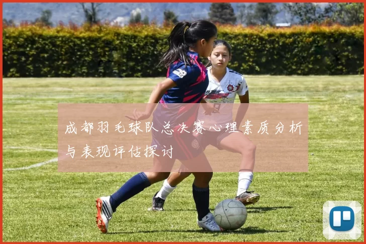 成都羽毛球队总决赛心理素质分析与表现评估探讨