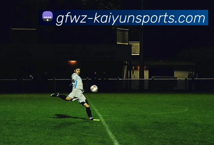 奖项证书